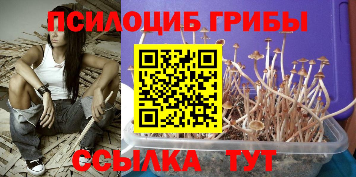 сколько стоит  Псилоцибиновые грибы Magic Shrooms  Вход с VPN  Зима 